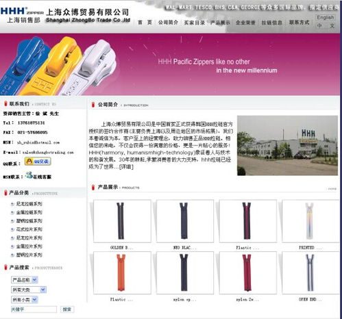 中小企业的智慧之选 瑞安网络技术专家的网站设计及会议服务